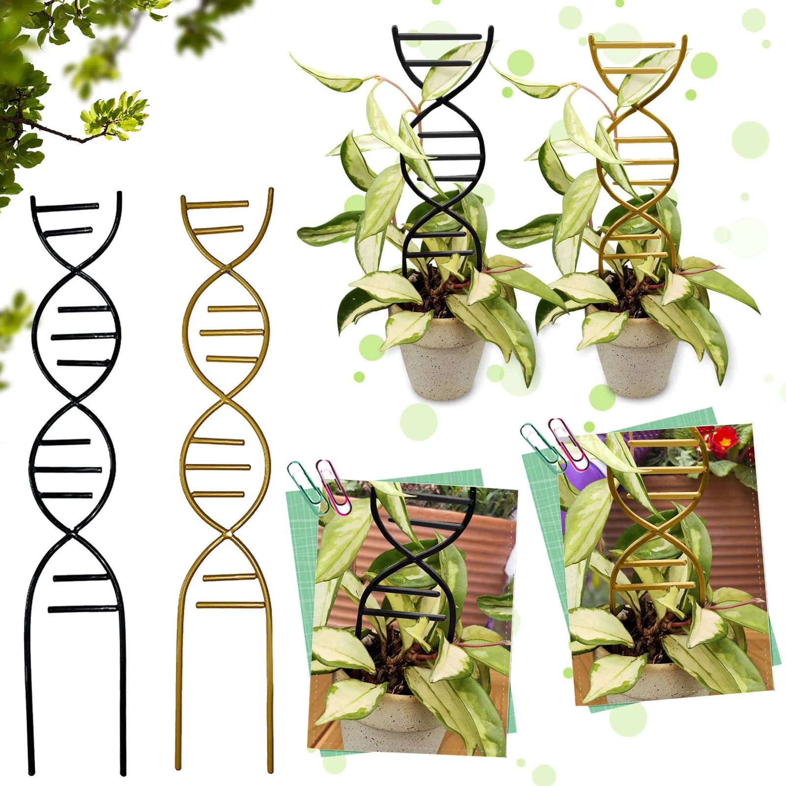 Supporto per piante rampicanti Giardini Vasi da fiori Utilizzare supporto per vite Supporto per telaio a croce in metallo Accessori Strumento per bonsai per piantine Traliccio