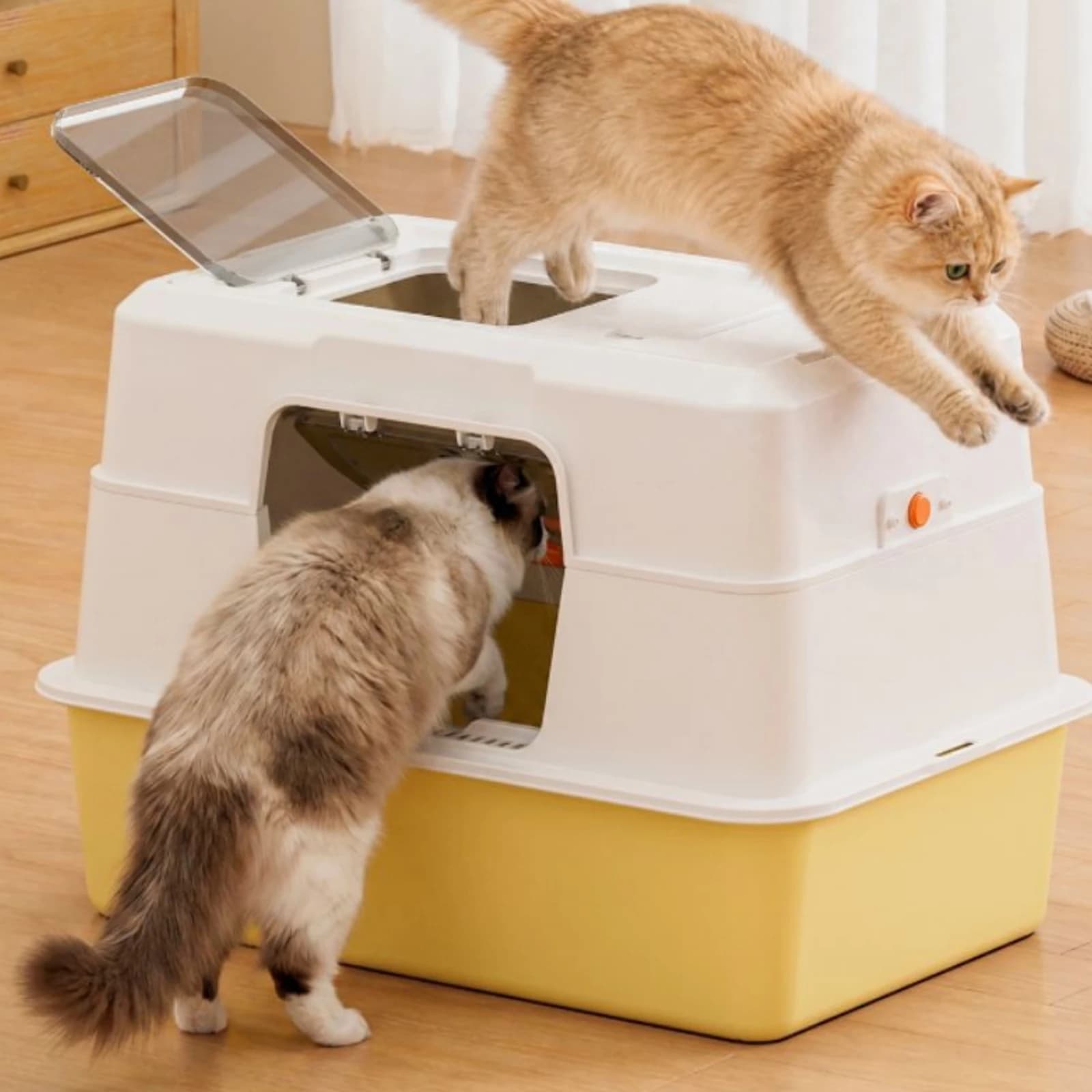 Enclosed Cat Litter Box Detachable Base Enclosed Litter Box Pet Toilet Hard Plastic Odor Control