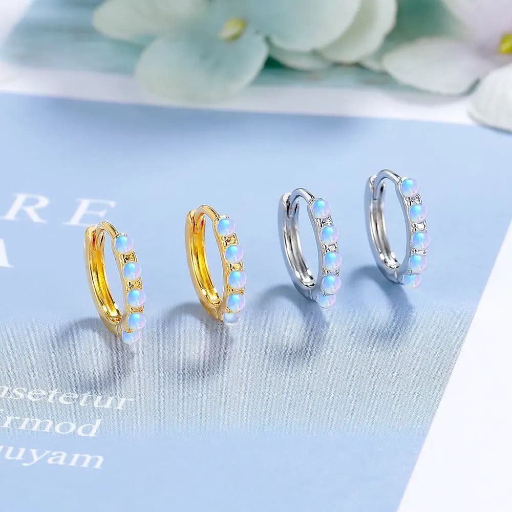 925 Sterling Silver Light Luxury Round Diamond Zircon Opal Earrings Wedding Anniversary Party Gift