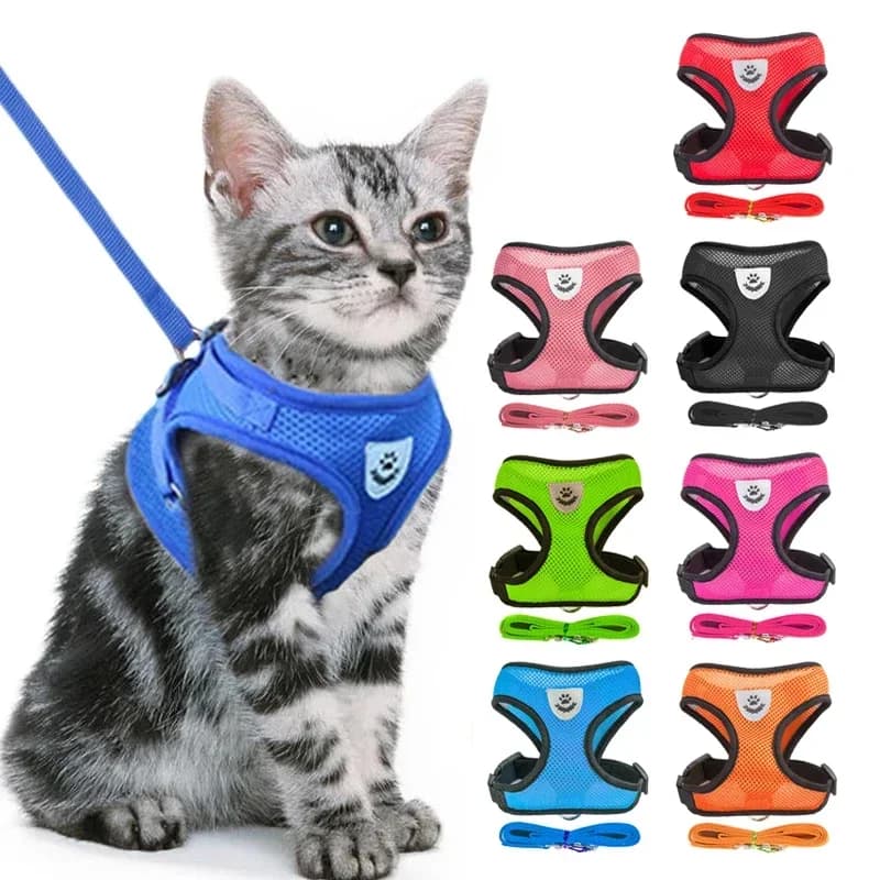Pettyrene for cats Stroller for puppies Dog Collar Adjustable polyester mesh Pettyre for pet accessories for small and medium size