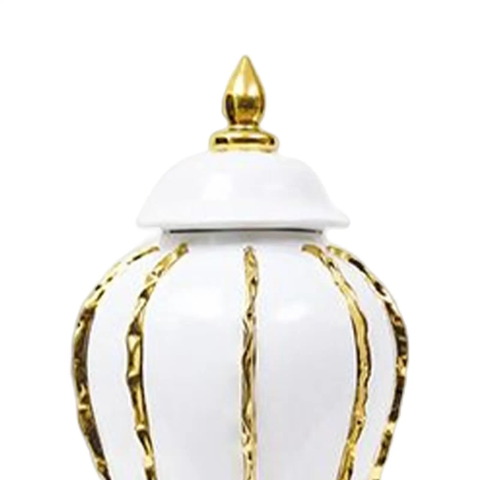 Modern Porcelain Ginger Jar Vase with Lid Elegant Ceramic Storage Box Home Floral Arrangement Centerpiece for Living Room Desk