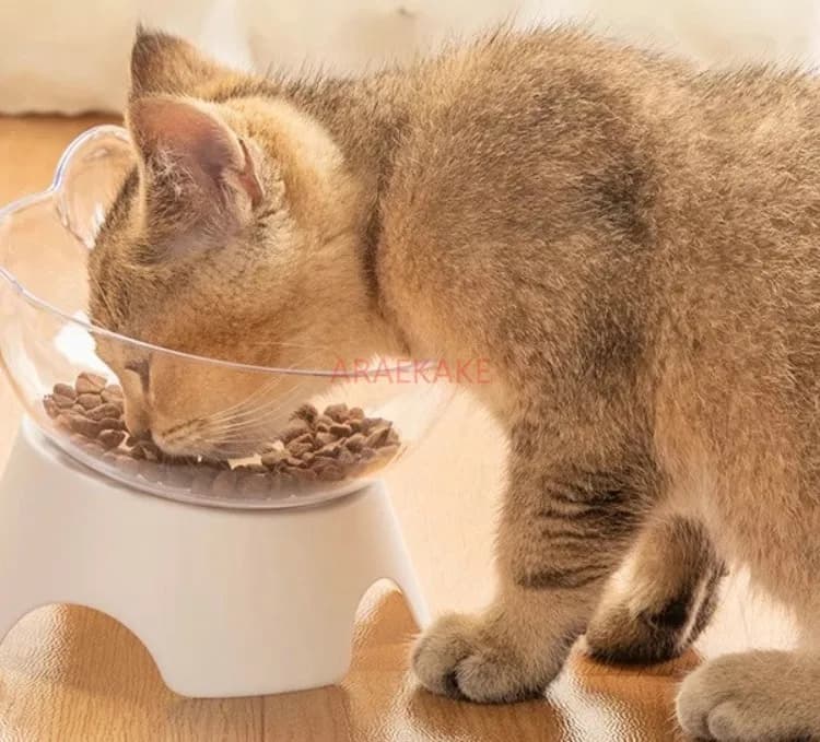 15 ° Ciotola trasparente per cibo per gatti, ciotola per cani, piatto per animali domestici, accessori per animali domestici