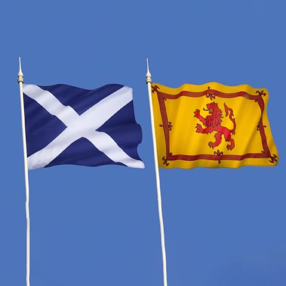 FLAGLINK 90x150 CM Royal Lion Rampant and Scotland Flag For Decoration
