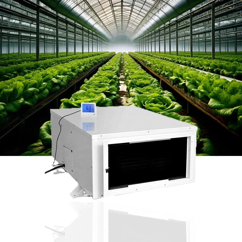 Deumidificatore a Soffitto 480L, Deumidificatore Industriale per Serre, Coltivazione Indoor di Verdure e Frutta