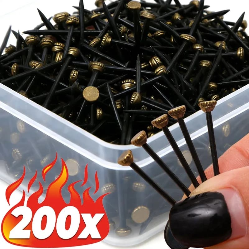 Chiodi in Acciaio Nero 200/20x con Cappuccio in Ottone per Appendere Quadri, Foto, Dipinti a Olio, Cornici con Scatola Portaoggetti, Ganci per Decorazioni Fai-da-Te