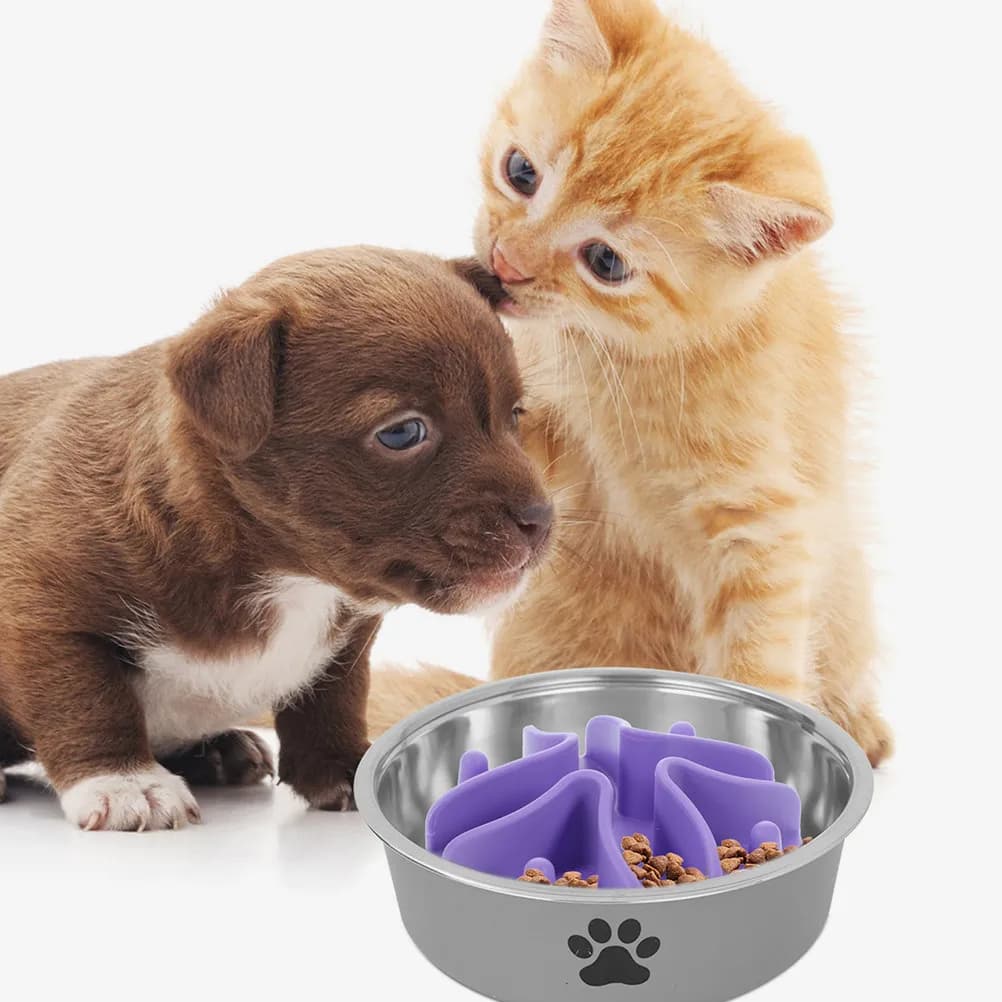 Inserto per Ciotola Slow Feeder per Cani, Tappetino in Silicone per Alimentazione Lenta, Base Antiscivolo con Ventosa, Dispenser di Cibo per Cani e Gatti