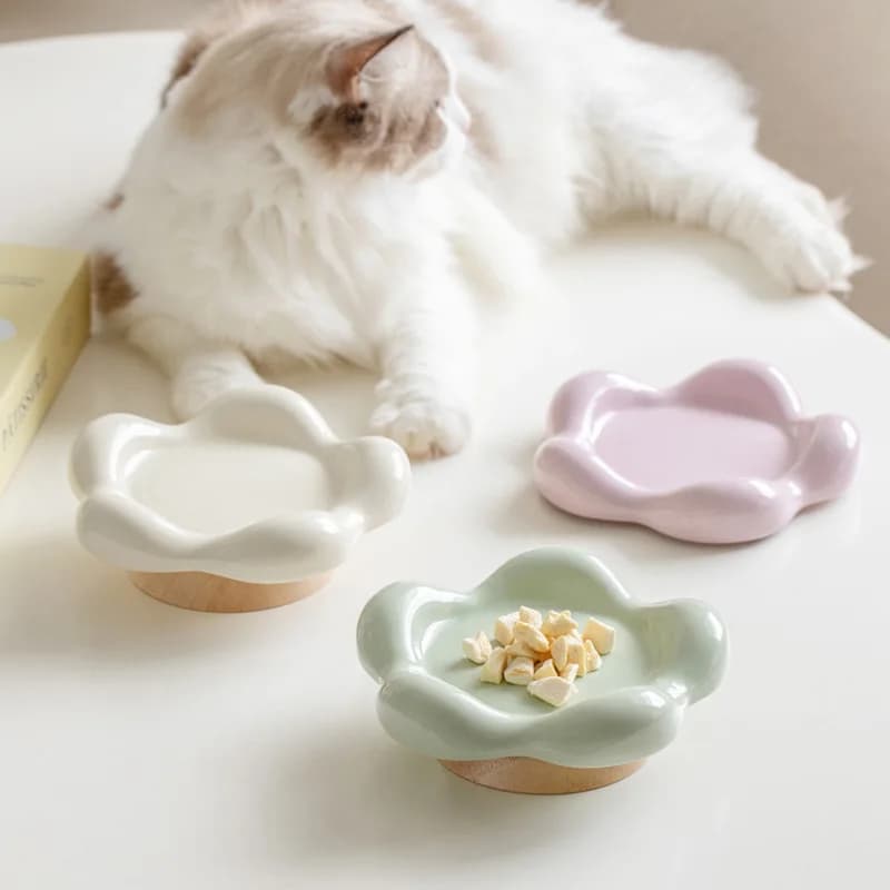 Ciotola in ceramica per animali domestici Protezione della colonna vertebrale cervicale Ciotola per gatti Ciotola per snack per cibo per gatti Piatto da pranzo per animali domestici Ciotola per cibo per cani Vassoio per snack per animali domestici