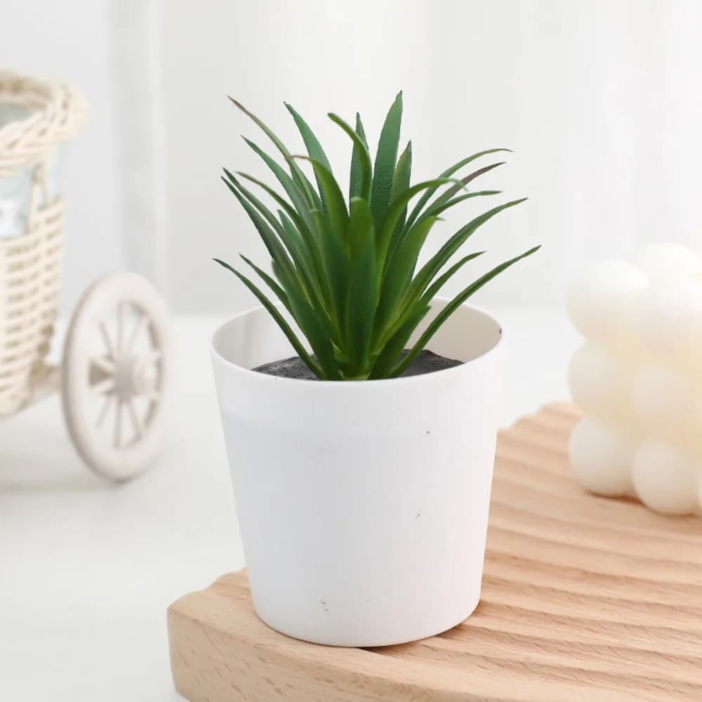 Cactus Succulent Artificial Succulent Bonsai Desk Decoration Fake Plants Succulent Bonsai Plants Plastic Mini Succulent Potted