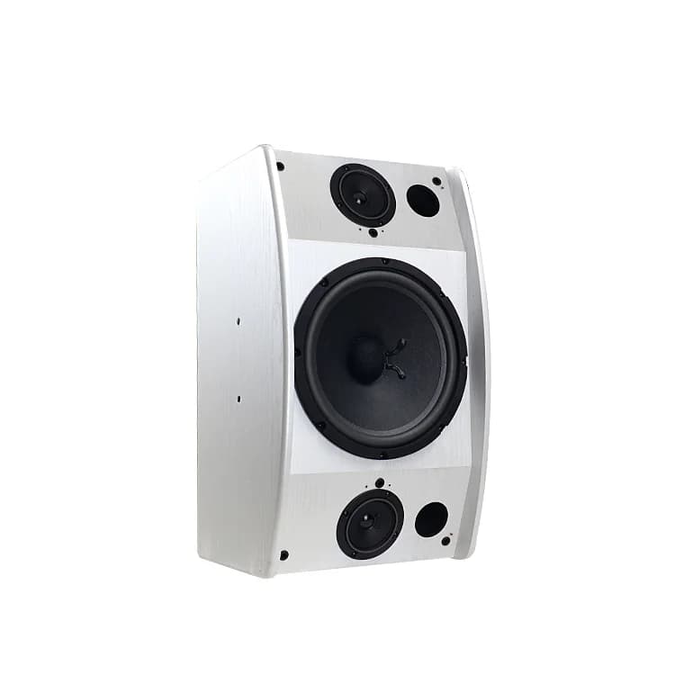 ZJZ Altoparlanti alimentati Sistema di altoparlanti KTV Amplificatore per barra audio Famiglia Canto Macchina per karaoke Karaoke professionale Macchina per la casa Pri