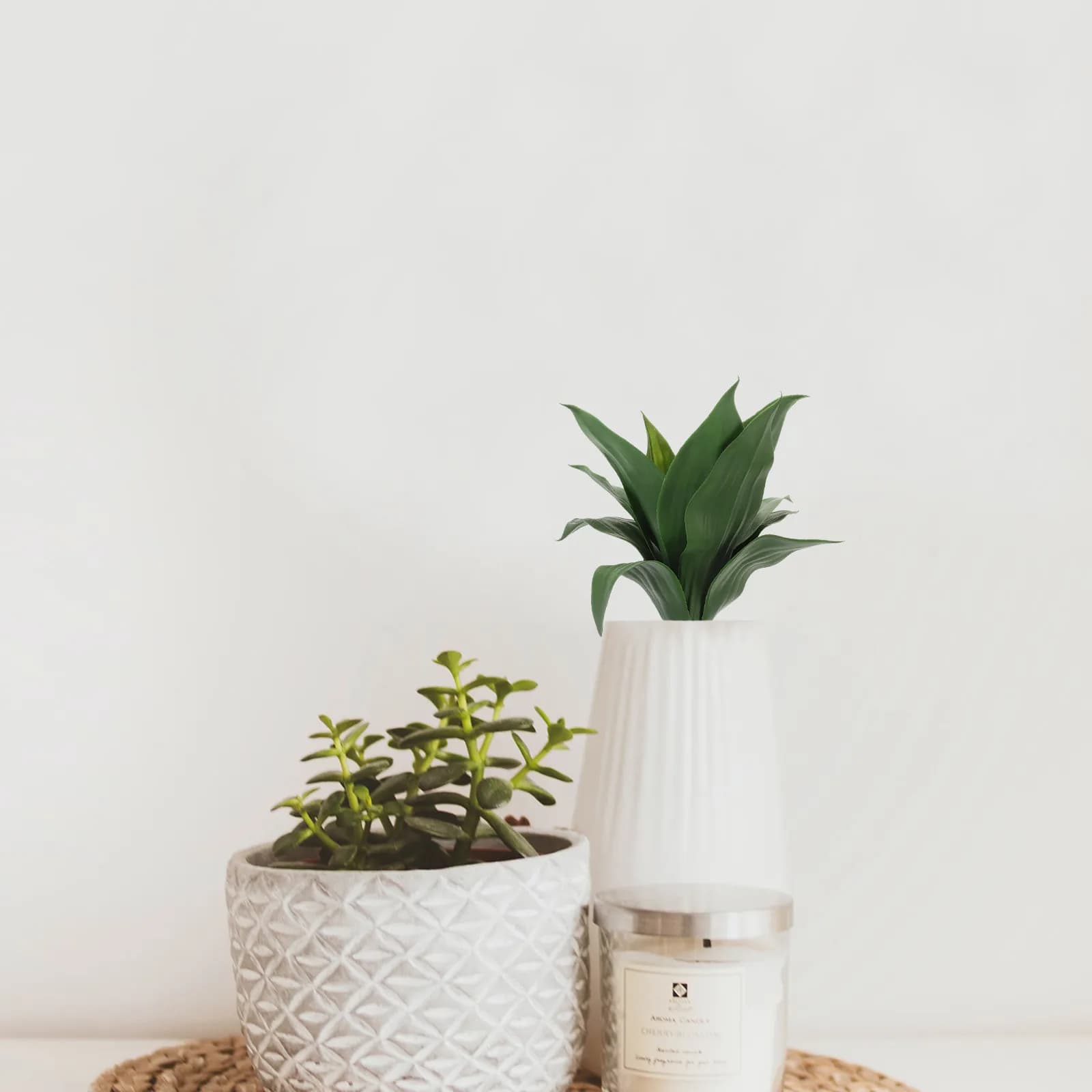 Realistic Artificial Succulent Plant Simulation Tiger Aloe Fake Plant Decor for Home Office Desk Bookshelf Living Room Coffee