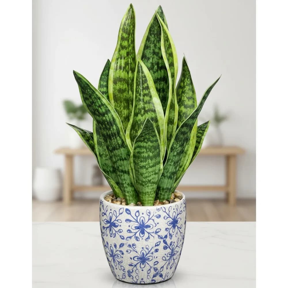 Pianta serpente artificiale in vaso bianco blu, finto Sansevieria da 15,7" per decorazioni per l'home office, regalo di inaugurazione della casa