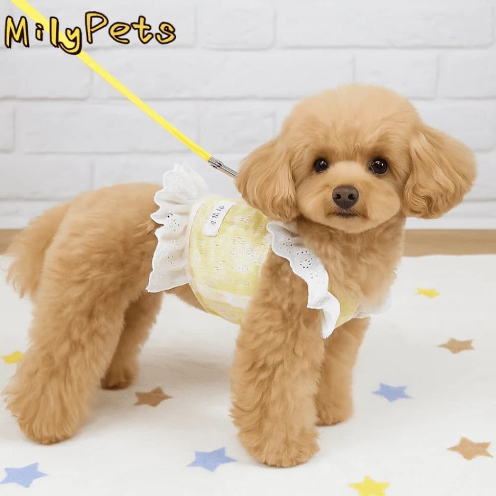 Pet Summer Clothes Cute Dog Vest Harness Breathable Thin Design Pet Lace Sleeve Dress Soft Pet Skirt Autumn