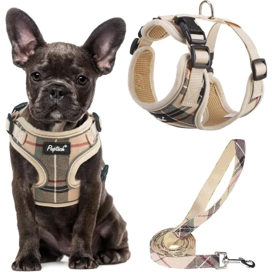 Set di pettorina e guinzaglio per cani in morbida rete, cucciolo di animale domestico, gatto, gilet imbottito riflettente regolabile, senza tirare, beige S