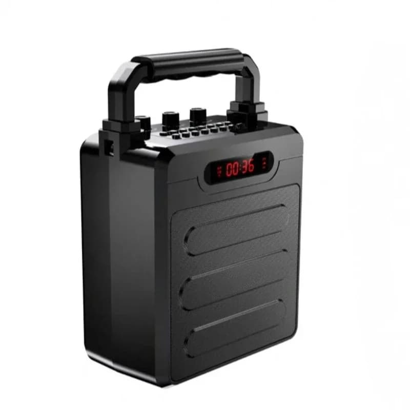 Altoparlante Erhu, altoparlante Bluetooth da esterno, performance di strumenti musicali, traccia di sottofondo, canto, microfono wireless, audio