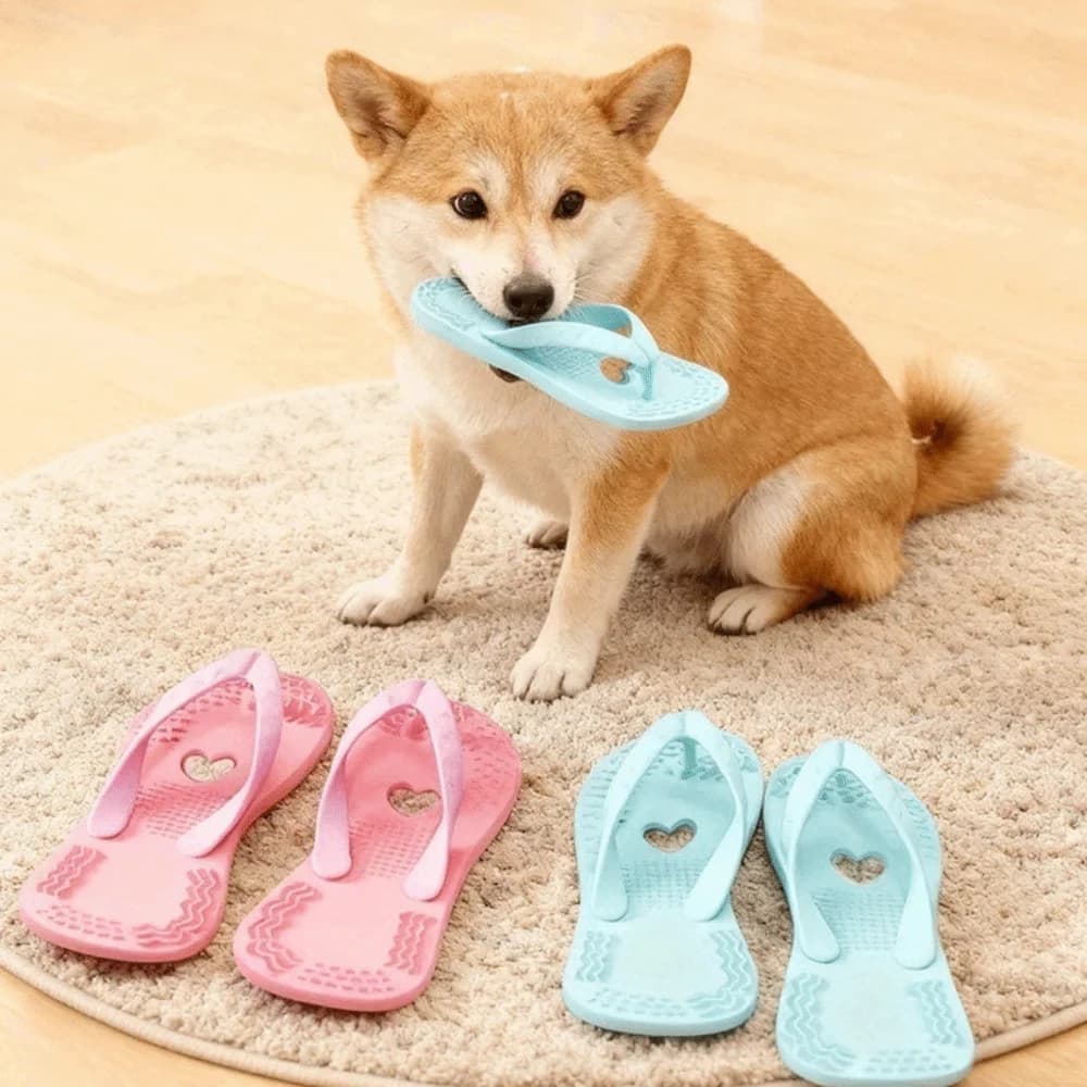 Dog Training Toys Soft Slipper-Shaped Teething Toy Silicone Durable Dog Chew Toy Funny Pet Molar Toy Relieve Boredom