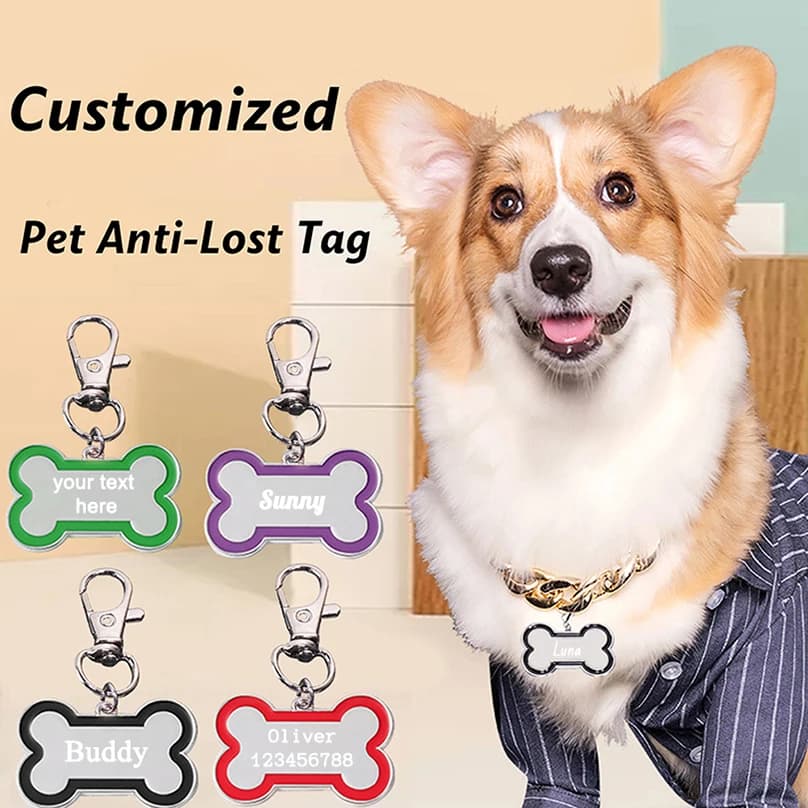 Bone Shape Cane Plates with Custom Text, Collar Pendant, Anti-Smarriage Custom ID Plate with Laser Engraving, Custom Turtle with Home Animal Name
