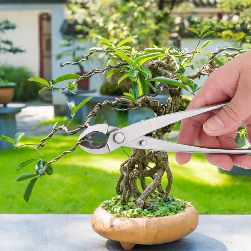 Professional Stainless Steel Branch Cutter Siliver Ergonomic Handle Bonsai Scissors Round Edge Multifunctional Pruning Shears