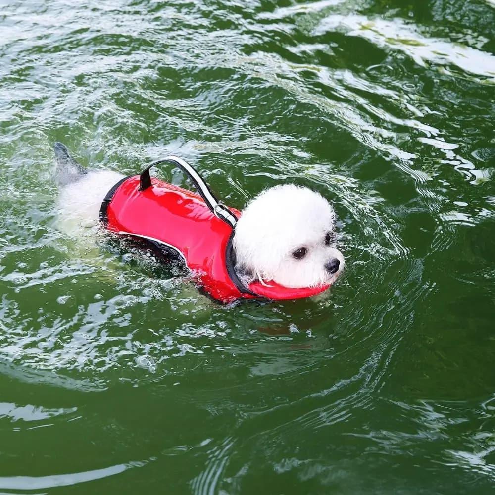 Superior Buoyancy Dog Life Jacket Waterproof Tear Resistant Pet Flotation Vest Adjustable Towable Puppy Safety Vest