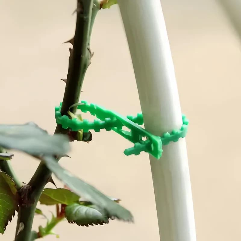 37Pcs17cmSelfLockStyleFishbone Cable Tie ReusableAndLooseTightCanAdjust Suitable forFixingGardeningClimbing VinePlant、Vegetab