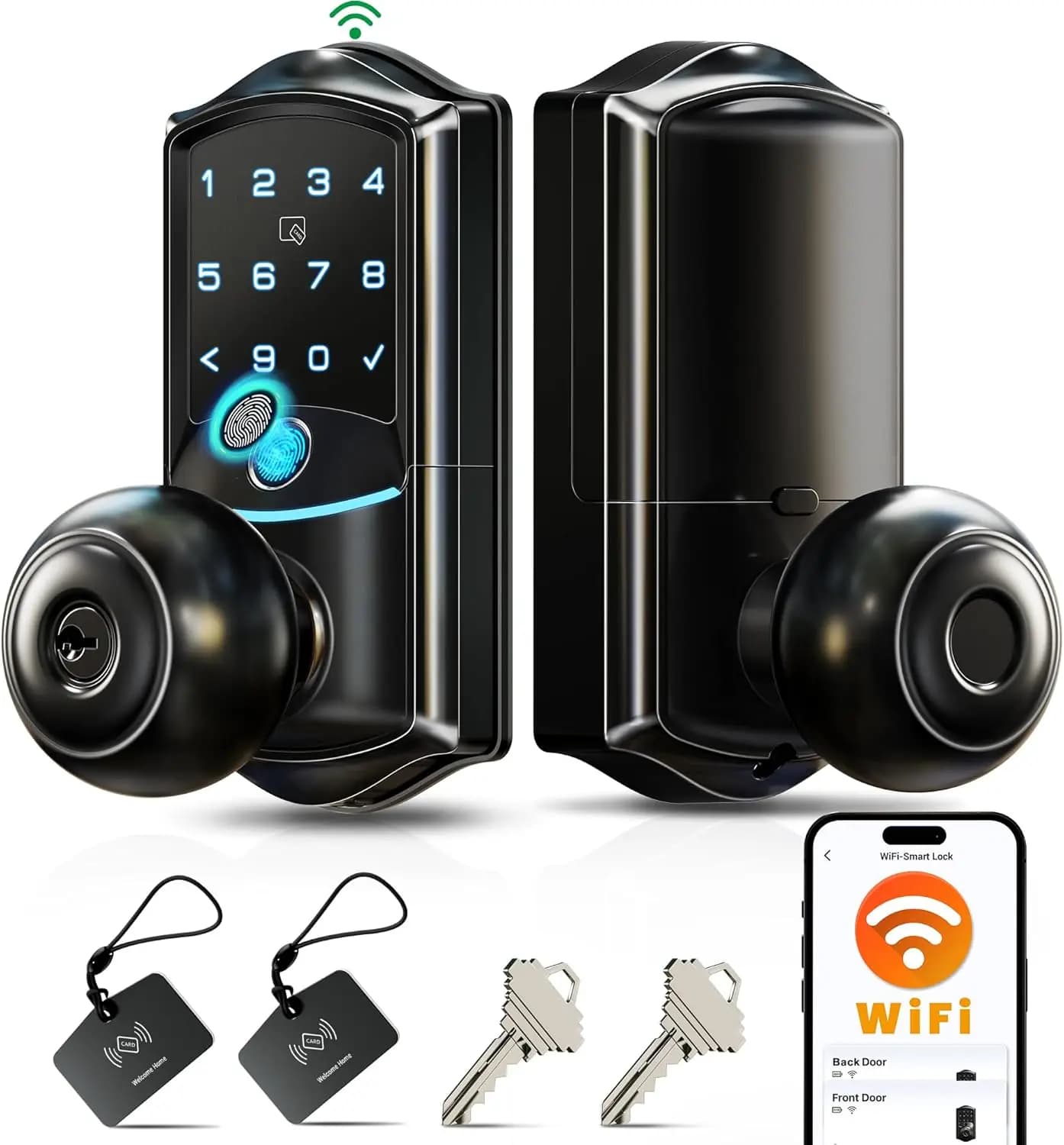 Serratura Intelligente con Wi-Fi, Accesso Tramite Impronta Digitale, Controllo App, Tastierino, Impermeabile IP65 in Nero Opaco
