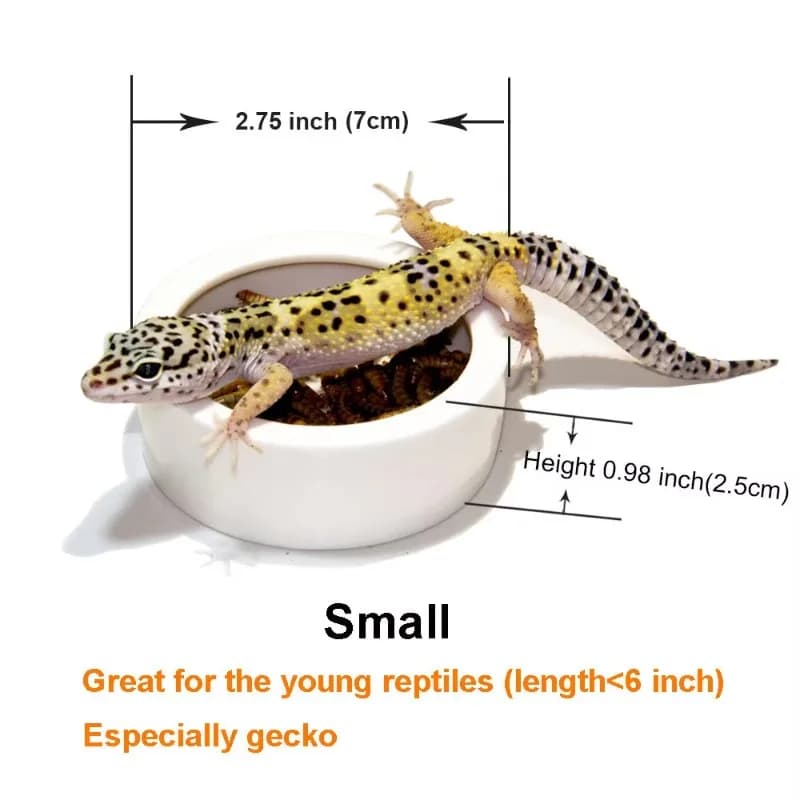 Wholesale Good Price Ceramic Reptile Food Bowl Durable Pet Feeding Dish for Lizard Turtle Snake Gecko Chameleon