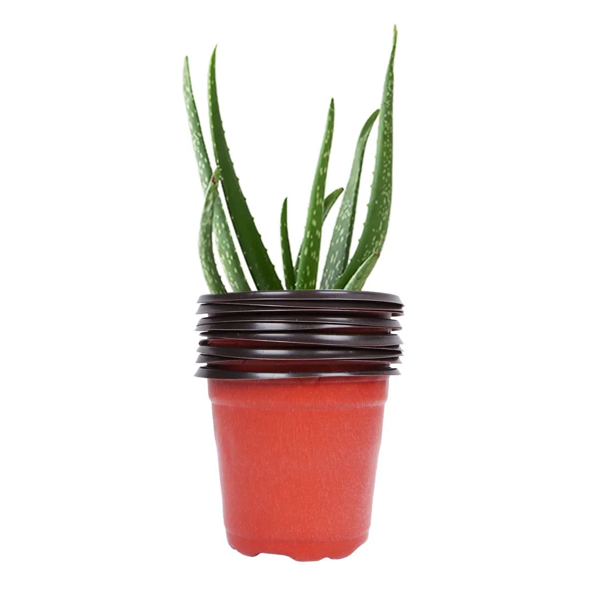 60Pcs Soft Plastic Seedling Pots Lightweight Tough Nursery Plant Containers Flower Pots for Planting Seeds Cuttings