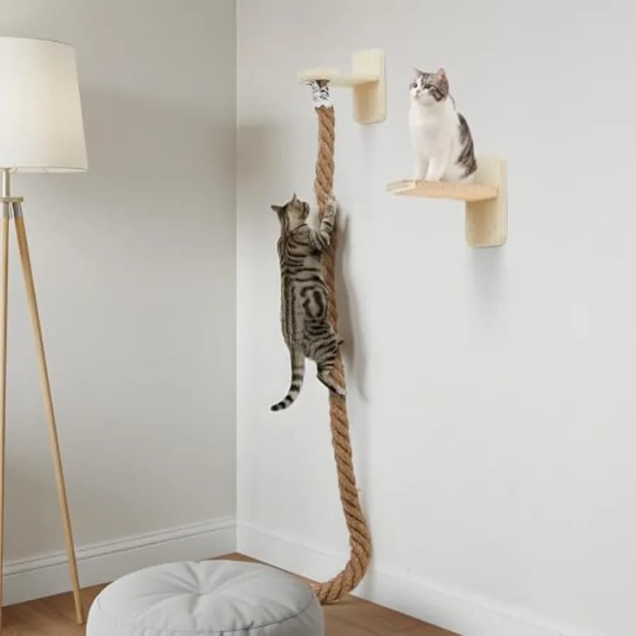 Wall Tiragraffi per Gatti con 2 Corde da Arrampicata da 150 cm, Tiragraffi Classico in Legno e Platform Salto per Gioco e Riposo dei Gattini