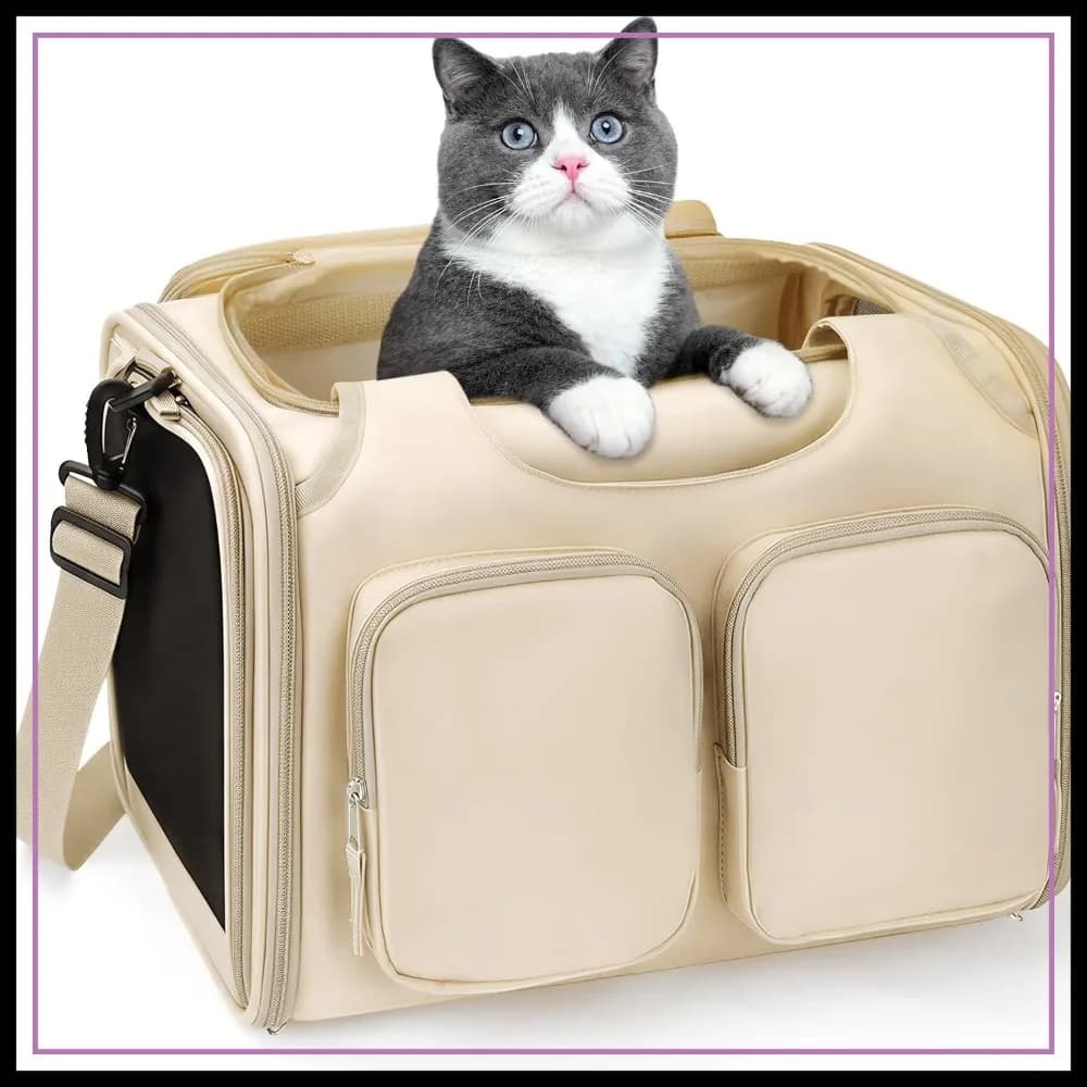 Trasportino per animali domestici approvato dalle compagnie aeree per cani e gatti fino a 5,4 kg, borsa da viaggio morbida con cerniere bloccabili, rete traspirante, 4 tasche, cuscino in pile rimovibile (Beige)