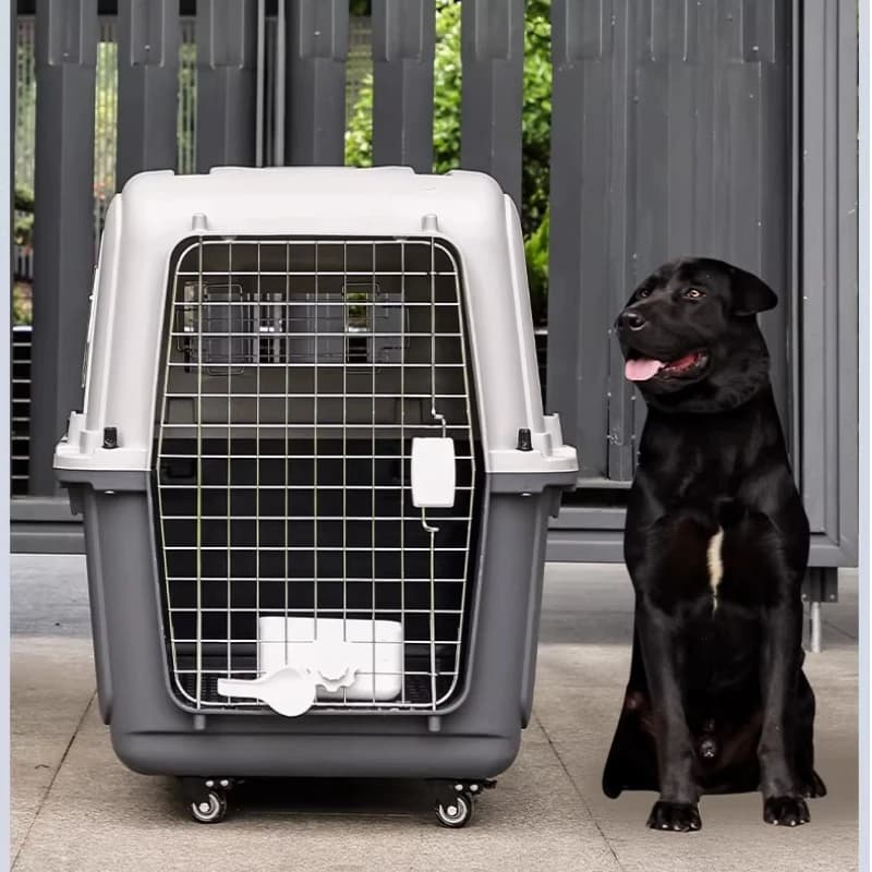 Trasportino da viaggio per animali domestici approvato dalla compagnia aerea con ruote, grande cassa per cani e gatti per auto, trasportino per animali ventilato sicuro per visite veterinarie
