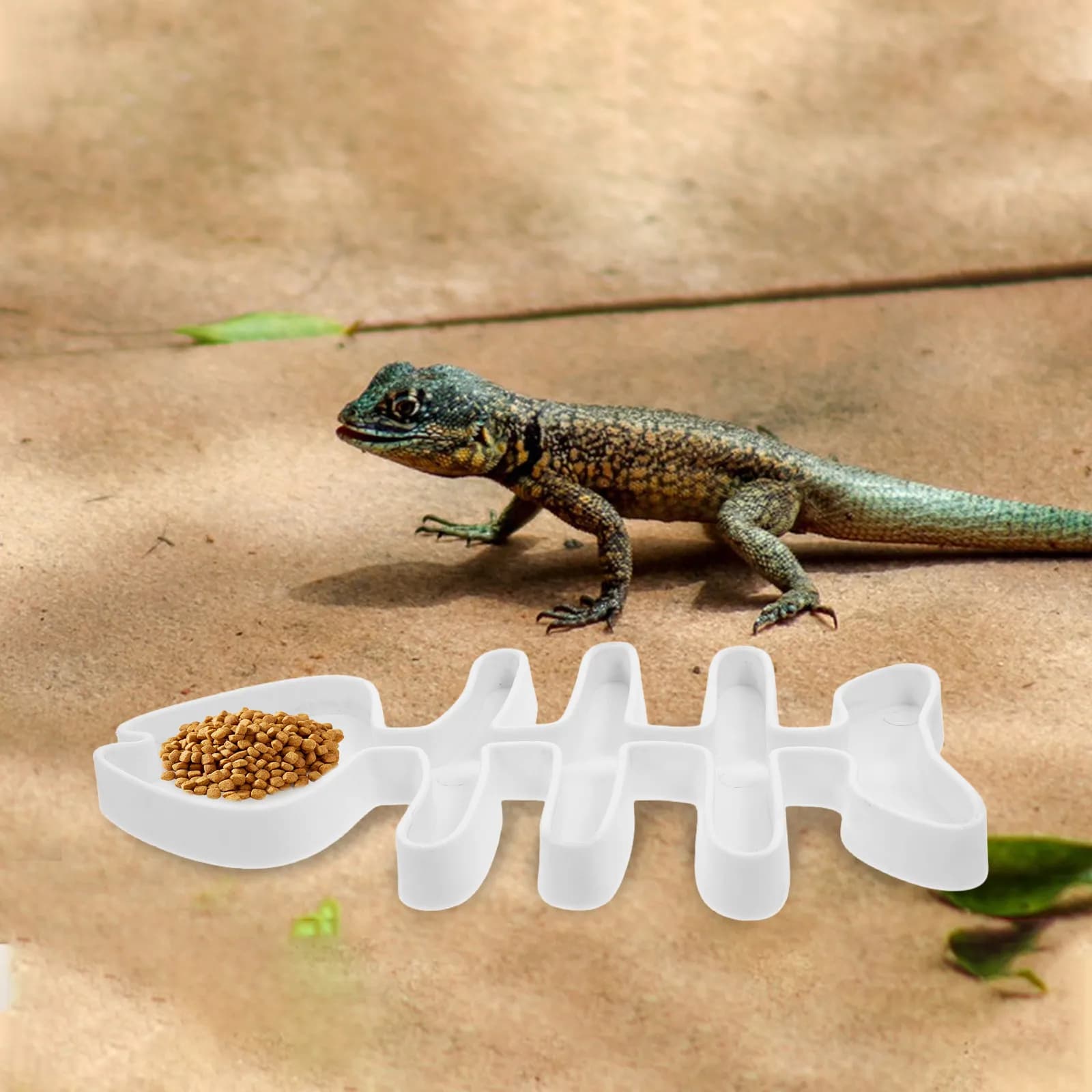 Ciotola Multifunzionale per Alimenti e Acqua per Rettili, Tartarughe, Lucertole, Gechi, Serpenti, Rane, Piccoli Animali Domestici, Decorazione Terrario Compatta e Pratica