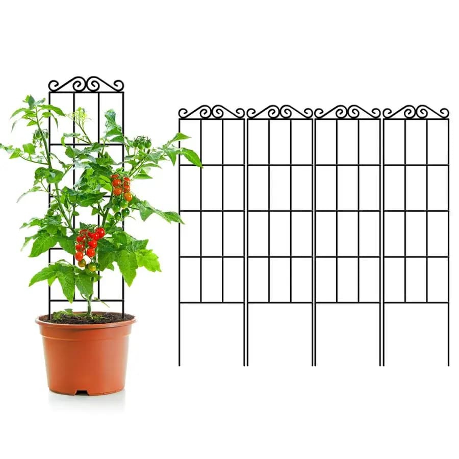 Set of 4 Garden Tracks in Metal for Plants, Robusti Supports for Plants in Vase and from Interior/Exterior