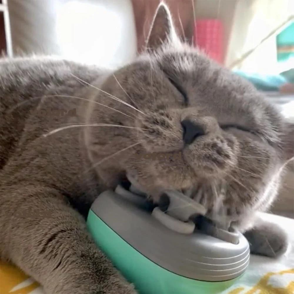 Massaggiatore elettrico per gatti Grattaschiena per alleviare la tensione Strumento per massaggio per animali domestici Spalla Collo Massaggiatore per tessuti profondi Testa per cuoio capelluto