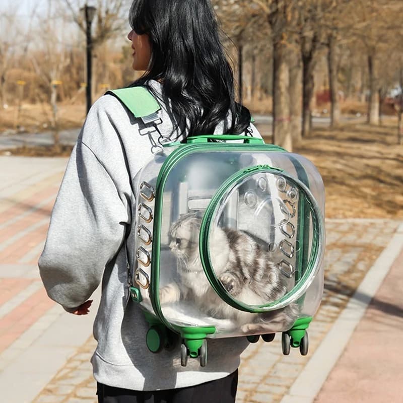 Outdoor Cats Backpack Pet Transparent Cat Accessories Bag Large Capacity Breathable Kitten Cat Carrier Women's Shoulder Bags