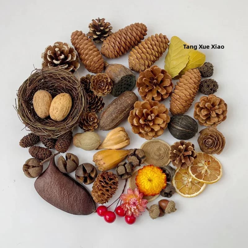 Fiori secchi Frutta e pigne Decorazioni per piccoli animali domestici - Ornamenti naturali fatti a mano per gabbia di criceti, decorazioni per la casa