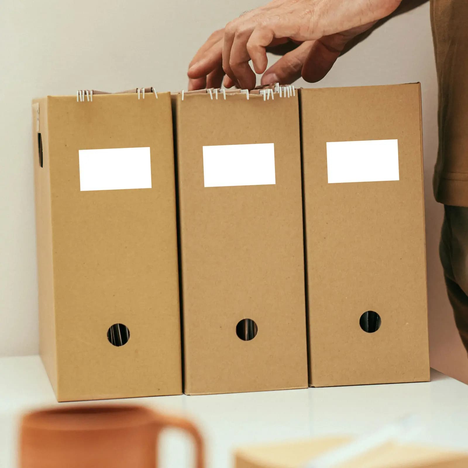 50 Etichette Adesive per Cartelle, Adesivi per Rilegatura, Etichette per Archivio Ufficio e Scuola, Indici Organizzativi