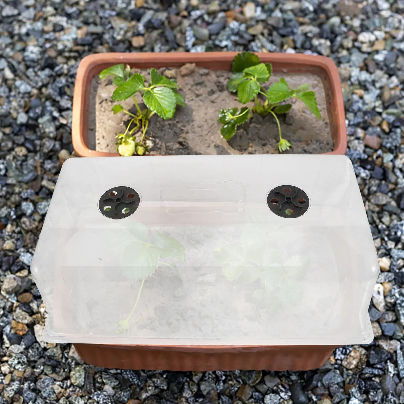Plastic Nursery Pot Lid Reusable Plant Dome with Vent Design for Humidity Control Temperature Stability Germination Tray Cover
