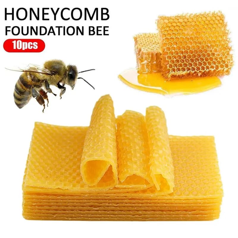 10 pezzi fogli di cera d'api produzione di candele kit fai da te fai da te candele al miele creatore cera d'api completa fogli di fondazione per apicoltura a nido d'ape nuovo