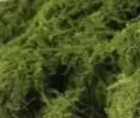 Artificial musk carpet made by you for decorations of miniature landscapes, ideal for gardens of fairies and pots of plants.