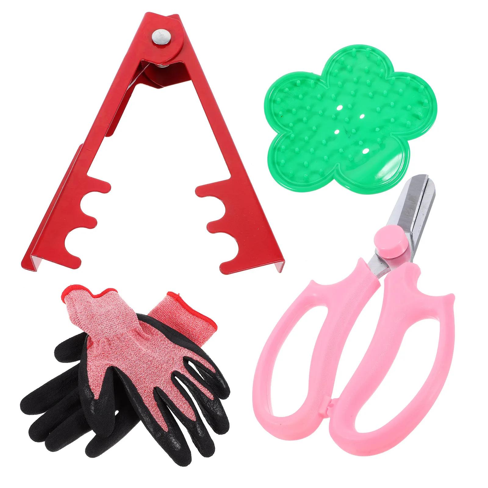 Set of Gardening Tools with Scissors, Anti-Setole Gloves, Bonsai and Power Kits