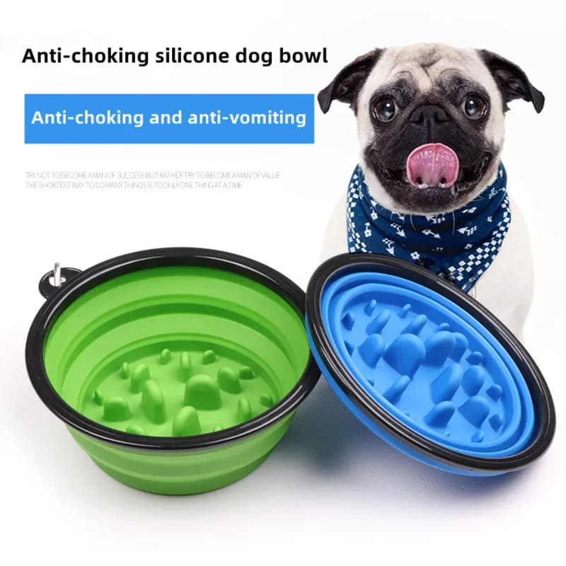 Ciotola per cibo lento Piccolo cane grande Ciotola da viaggio per esterni da 1 litro per cani Flodable con fibbia Alimentatore per animali Cucciolo di cane Ciotole per gatti Prodotti per animali domestici