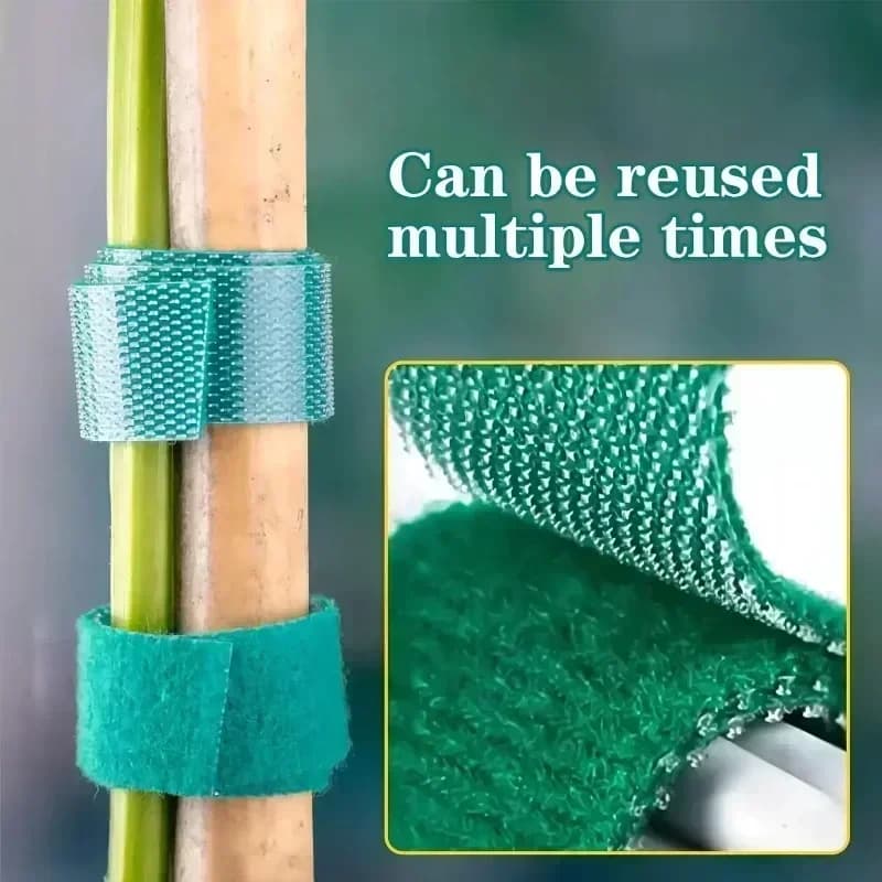Nastro Adesivo Regolabile 1/100M per Piante, Fascette in Nylon, Ganci e Anelli di Supporto, Nastro da Giardino Riutilizzabile, Strisce di Fissaggio Veloci
