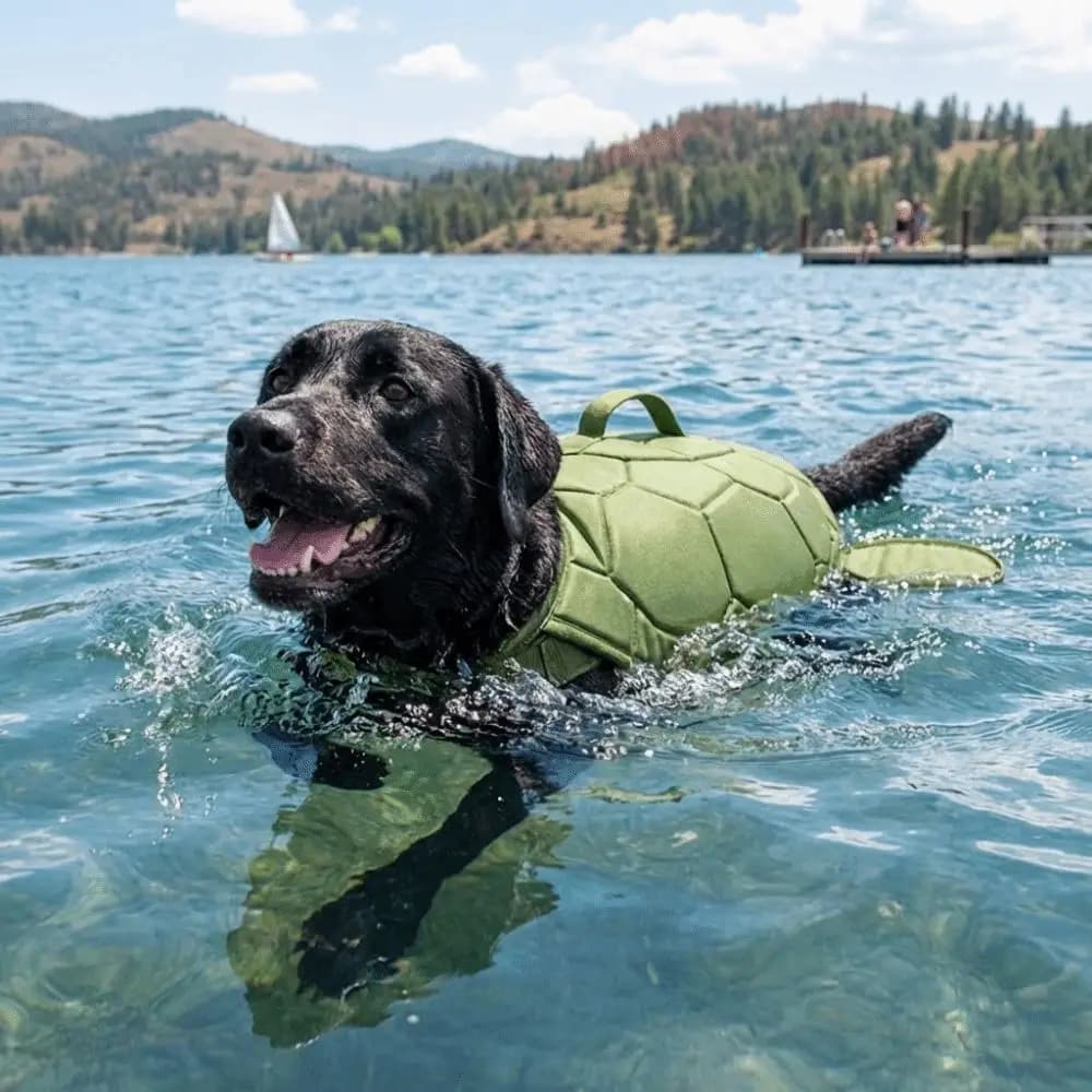 Giubbotto di Salvataggio per Cani a Forma di Tartaruga, Regolabile, con Maniglia Portatile e Dettagli Riflettenti