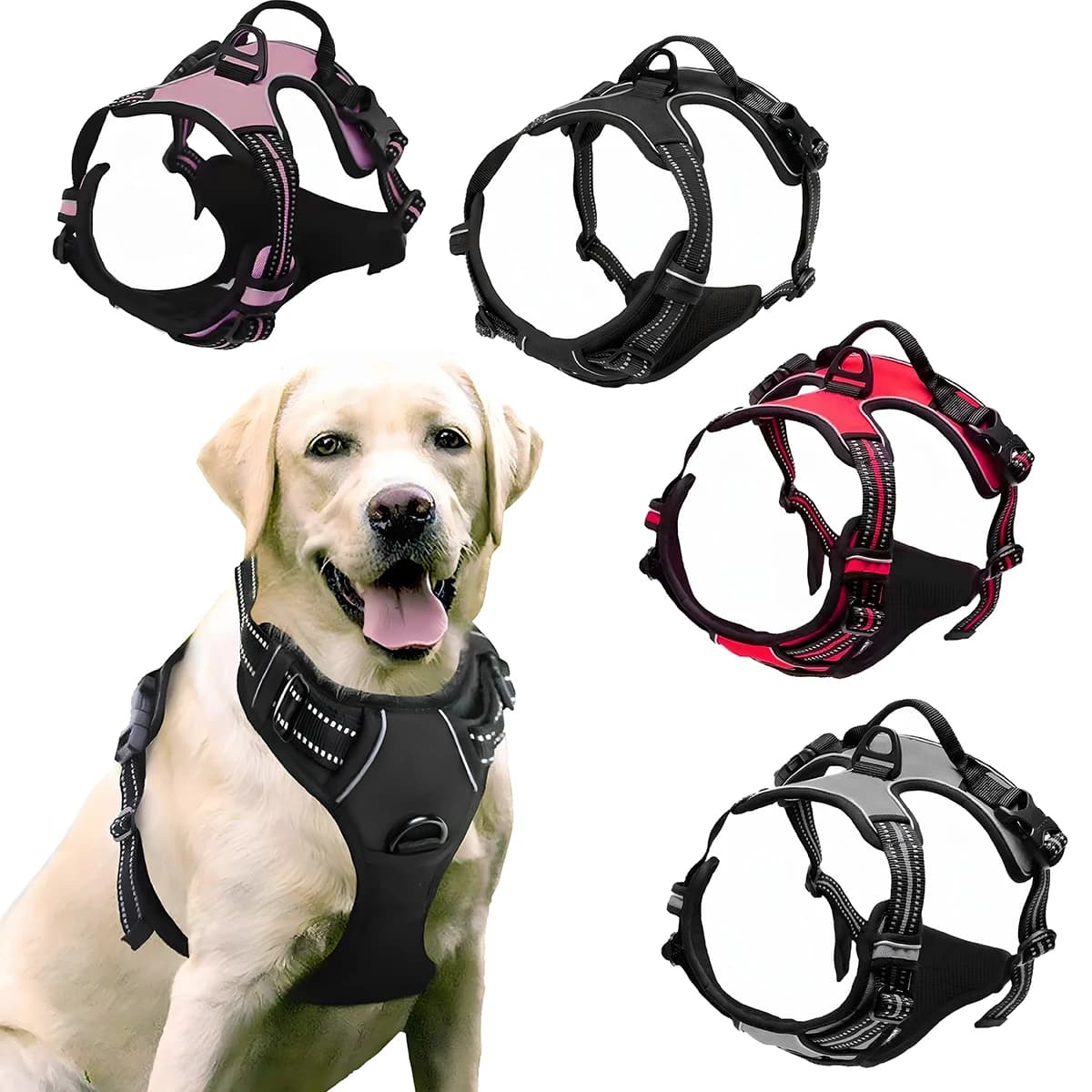 Set per cani rinfrescanti in quercia tedesca - Gilet con imbracatura a prova di fuga e collare in pelle con anti-caduta, traspirante per cani di taglia grande