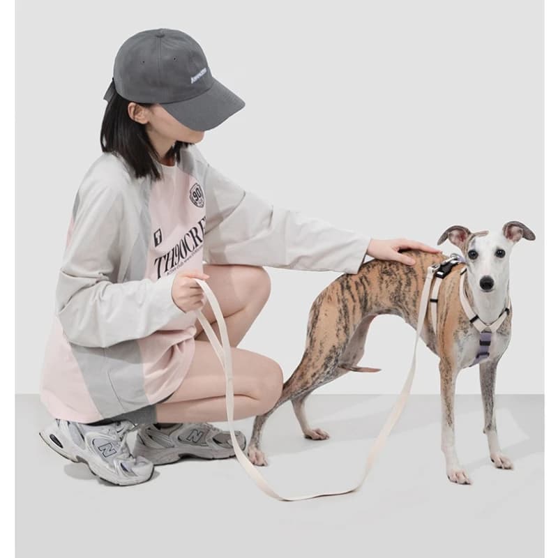 Set Pettorina e Guinzaglio per Cani Ultra-Leggero a Forma di H, Anti-Fuga, Regolabile a 4 Punti per Cani Piccoli, Medi e Grandi