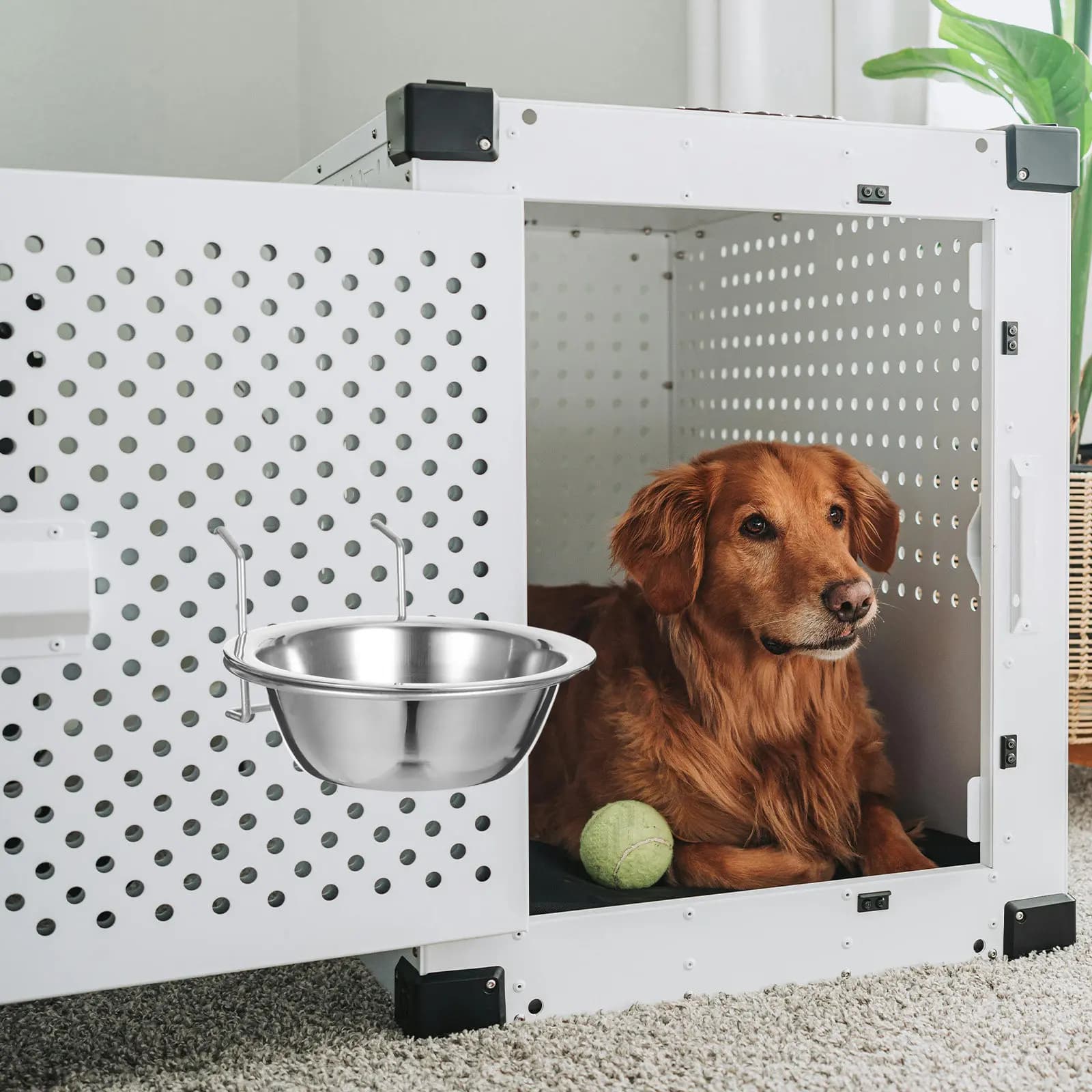 2 Set di Ciotole Sospese in Acciaio Inossidabile per Cani e Gatti, Ciotola per Acqua e Cibo da Gabbia per Conigli, Uccelli, Cani, Cuccia, Gabbia, Recinto, Coppa, Piatto