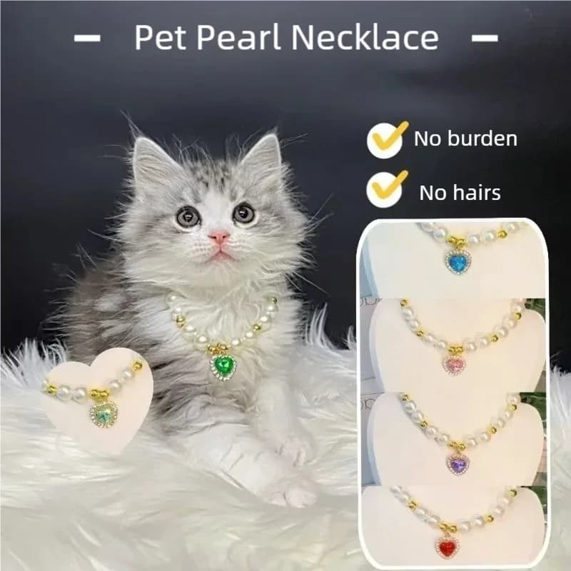 Collari per cani e gatti, collane di perle, collari con ciondoli, collane con pietre preziose, accessori carini
