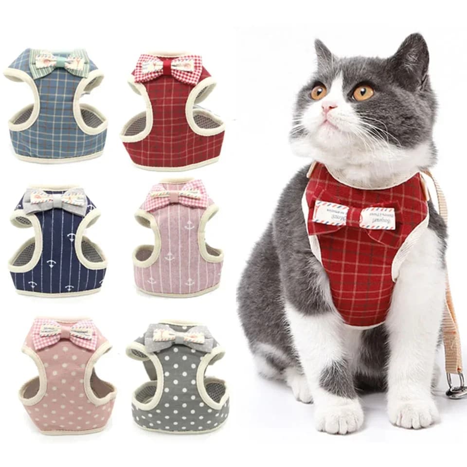 Set Pettorina e Guinzaglio per Cani e Gatti in Nylon a Rete, Gilet con Collare per Cuccioli e Gatti