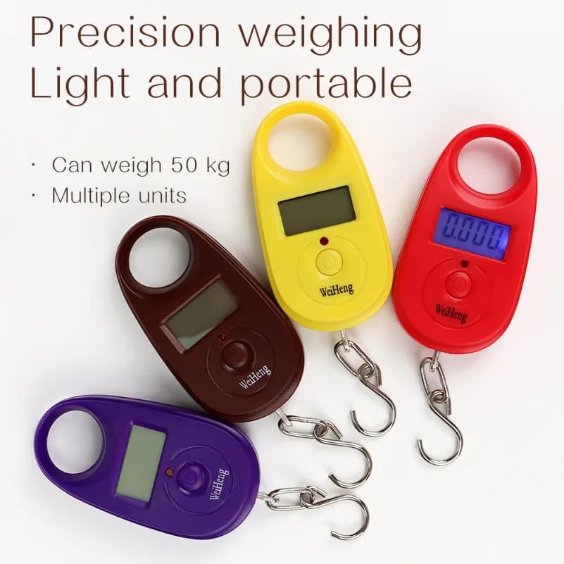 Bilancia Digitale Mini da 25Kg/5g, Bilancia Elettronica per Pesca, Bilancia Tascabile per Bagagli con Gancio, Mini Bilancia LCD