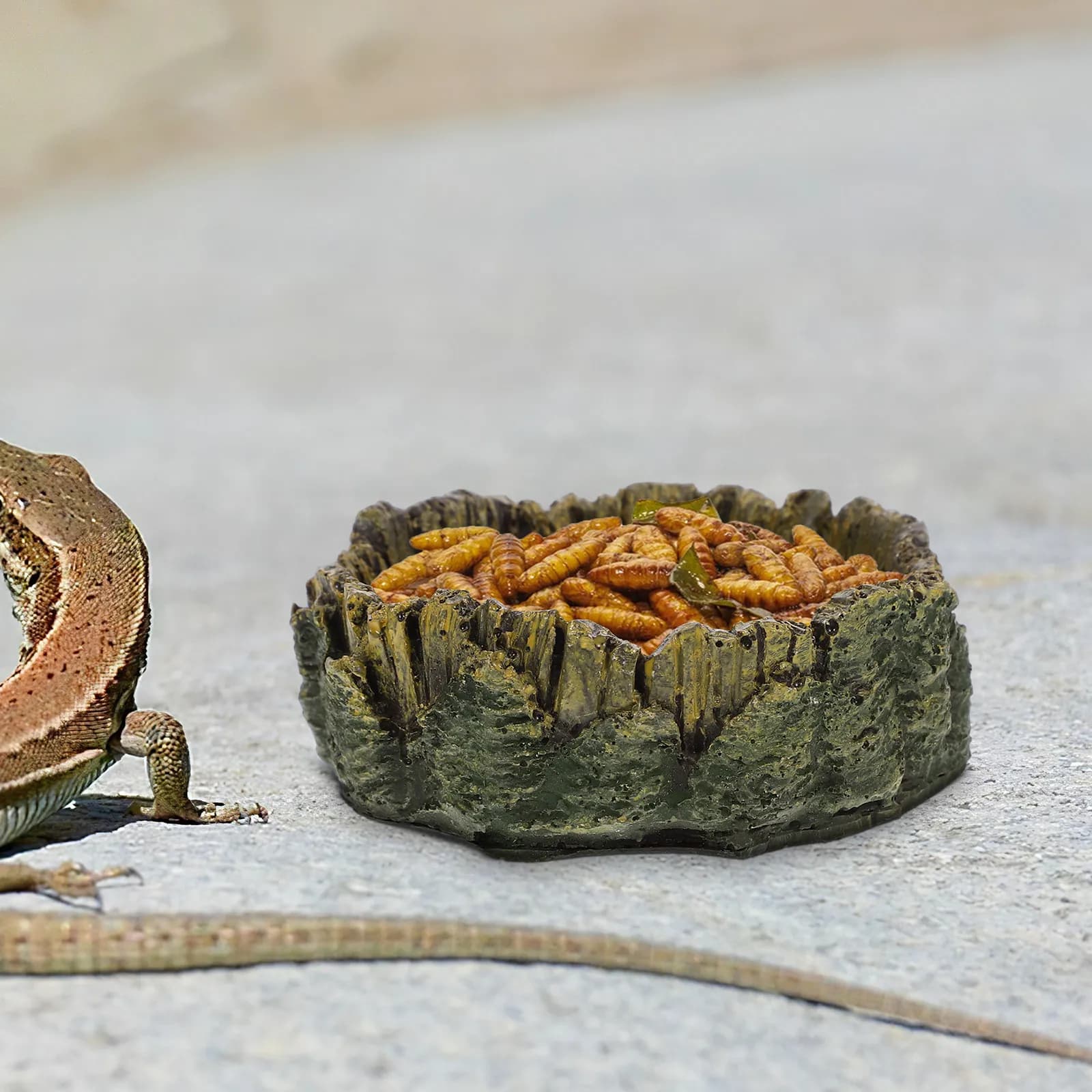 Ciotola per Rettili, Piatto per Cibo e Acqua in Resina Effetto Legno, Vassoio per Tartarughe, Ciotola per Rettili