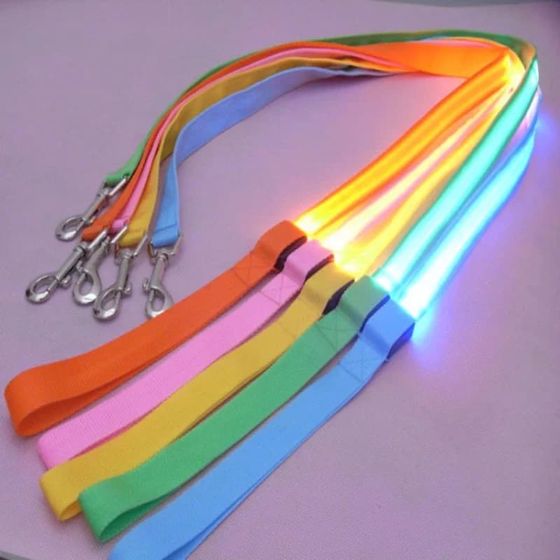 Guinzaglio per cani in nylon per animali domestici a LED Luce notturna di sicurezza Lampeggiante Bagliore nel buio Guinzaglio per cani Guinzaglio per animali domestici in rete Corda 120 cm